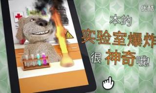 会说话的汤姆猫中文版