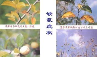 苏州丰投光能集团有限公司