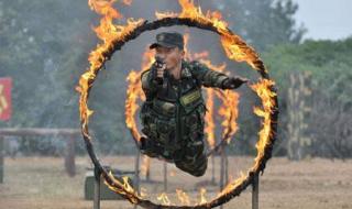 我是特种兵之利刃出鞘全集