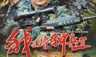 我是特种兵之利刃出鞘全集