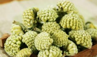 绿萝花电视剧免费观看