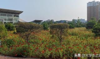 长沙理工大学云塘校区