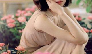我的26个男房客小说