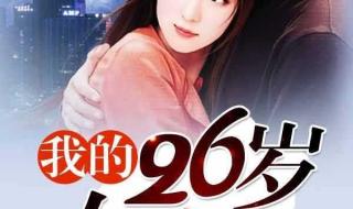 我的26个男房客小说